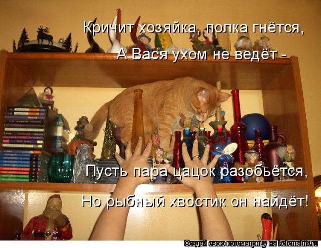 Лучшие котоматрицы недели