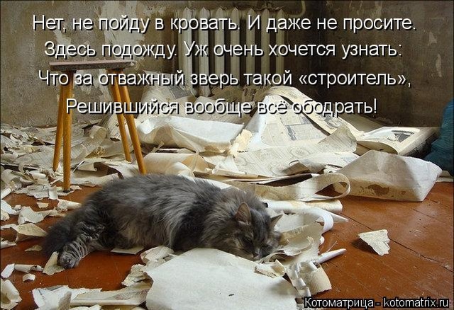 Лучшие котоматрицы недели