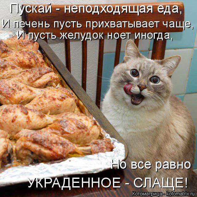 Лучшие котоматрицы недели