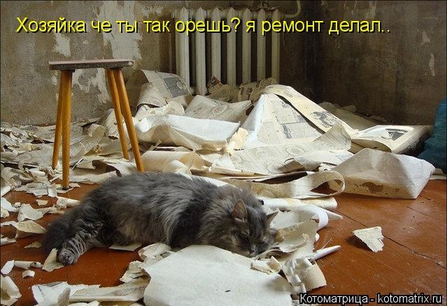 Лучшие котоматрицы недели