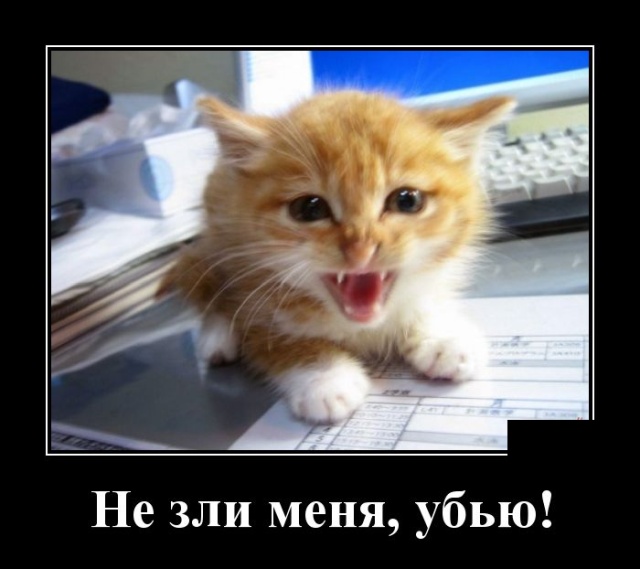 Демотиваторы