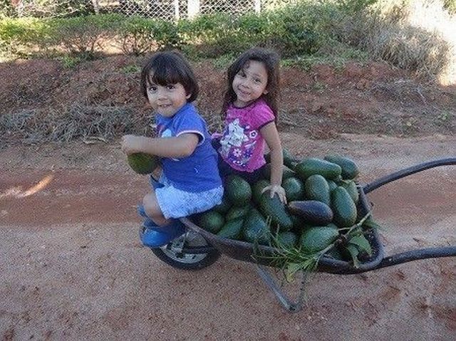 Прикольные картинки