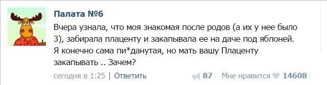 Беременность головного мозга (14 фото)