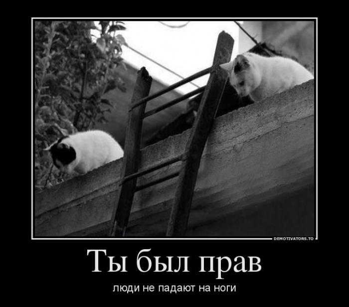 Демотиваторы
