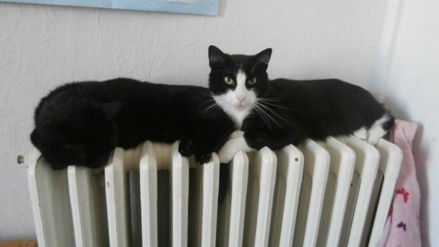 Фото, на которых не все так просто, как может показаться Фото, на которых не все так просто, как может показаться