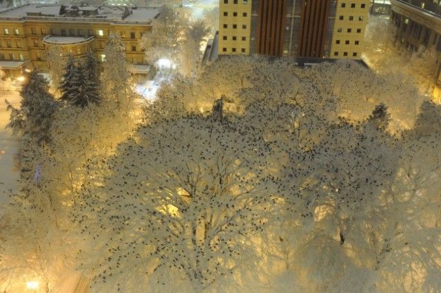 Фото, на которых не все так просто, как может показаться Фото, на которых не все так просто, как может показаться