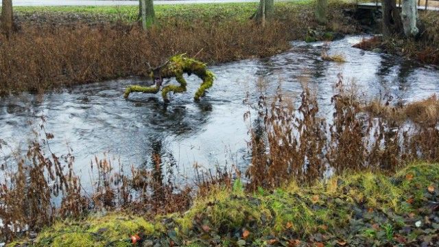 Фото, на которых не все так просто, как может показаться Фото, на которых не все так просто, как может показаться