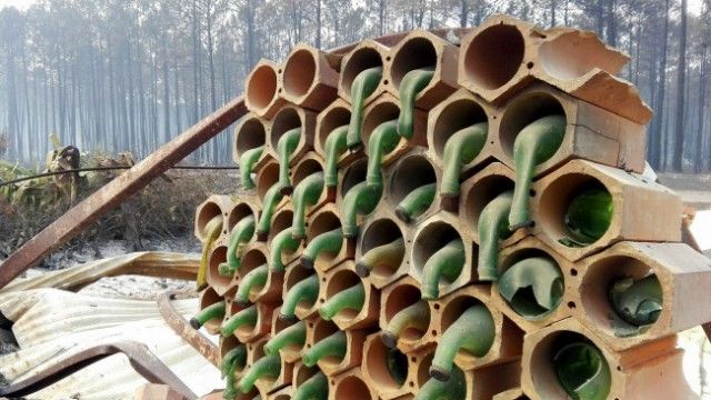 Фото, на которых не все так просто, как может показаться Фото, на которых не все так просто, как может показаться
