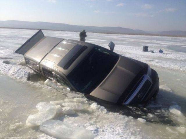 Прикольные картинки (50 фото)