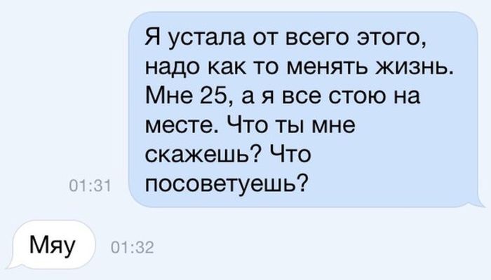 Порция картинок