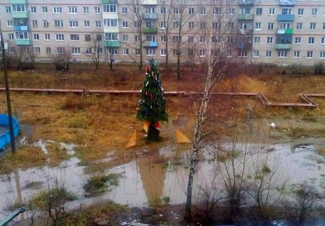Удивительные и забавные фото с просторов России