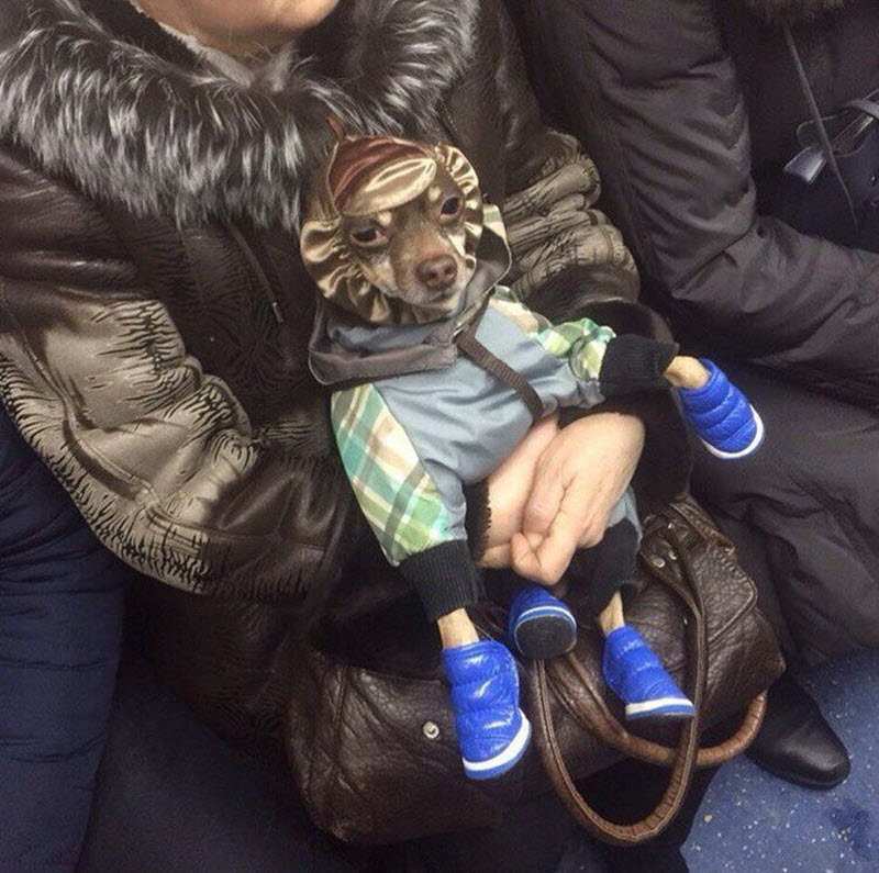 Белорусские модники