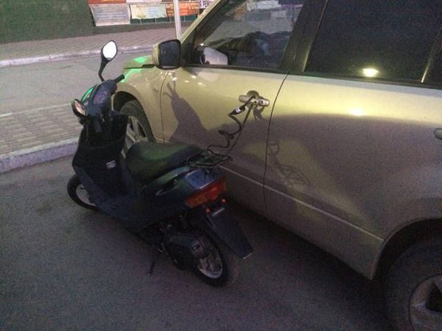 Прикольные картинки