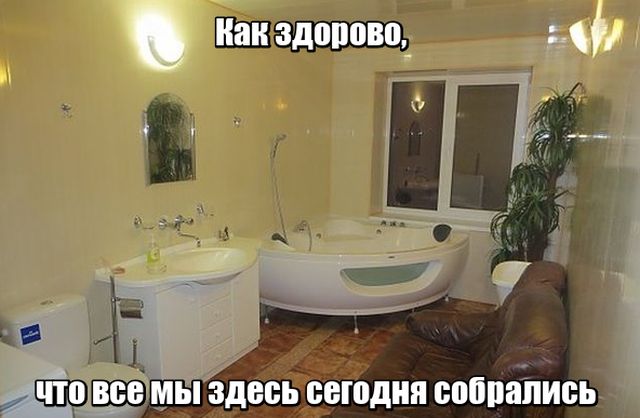 Прикольные картинки
