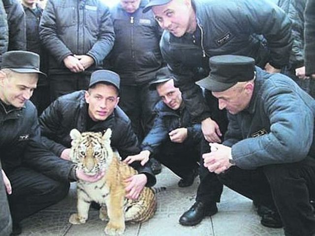 Тюрьмы для богатых и влиятельных: хорошо сидим!