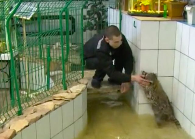 Тюрьмы для богатых и влиятельных: хорошо сидим!