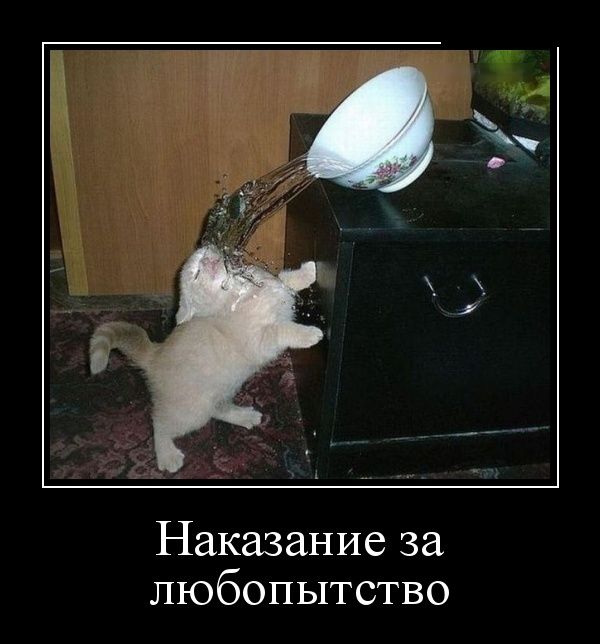 Демотиваторы