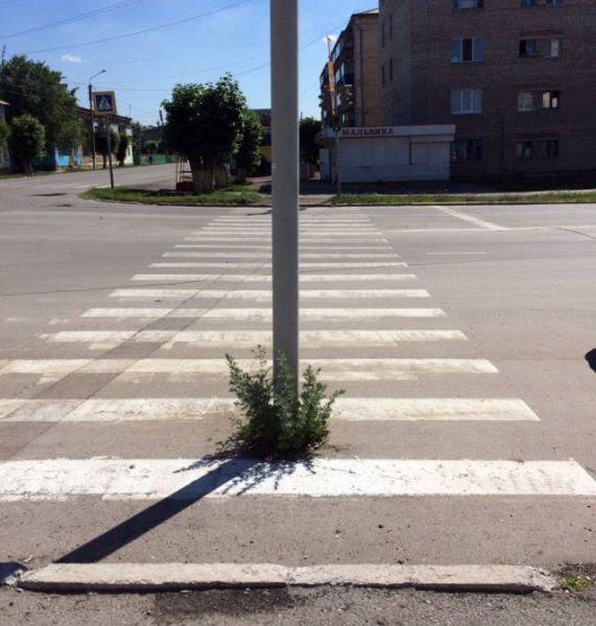 Сделал дело – гуляй смело!