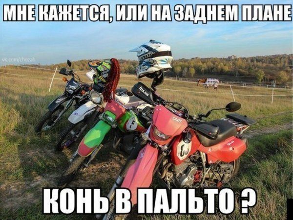 Прикольные картинки  (123 фото)