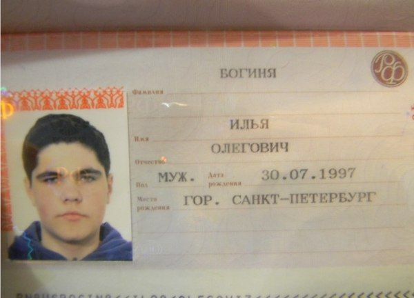 Прикольные картинки  (123 фото)