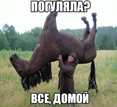 Прикольные картинки  (123 фото)
