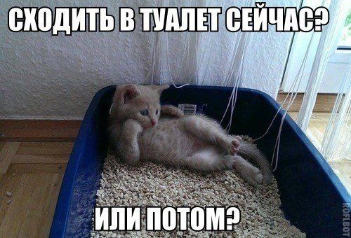 Прикольные картинки  (123 фото)