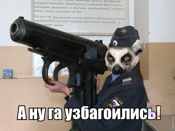 Прикольные картинки  (123 фото)
