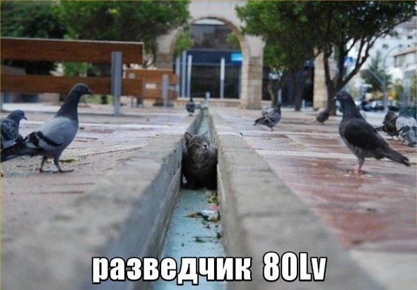 Прикольные картинки  (123 фото)
