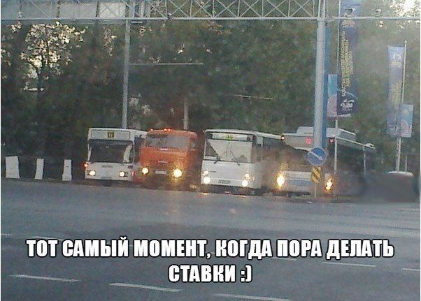 Прикольные картинки  (123 фото)