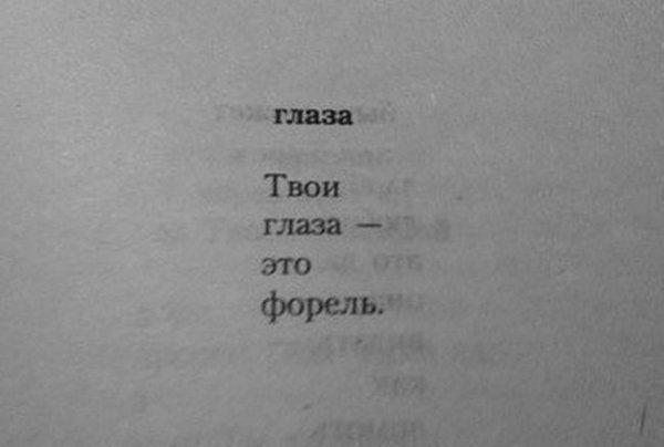 Прикольные картинки  (123 фото)
