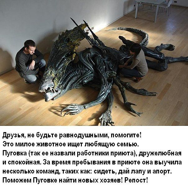 Прикольные картинки  (123 фото)