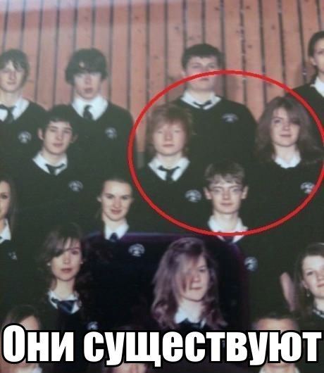 Прикольные картинки  (123 фото)