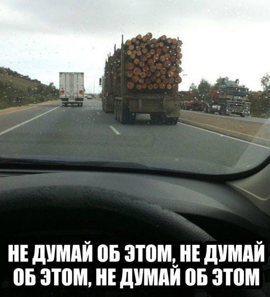 Прикольные картинки  (123 фото)