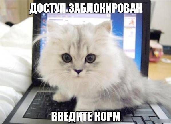 Прикольные картинки  (123 фото)