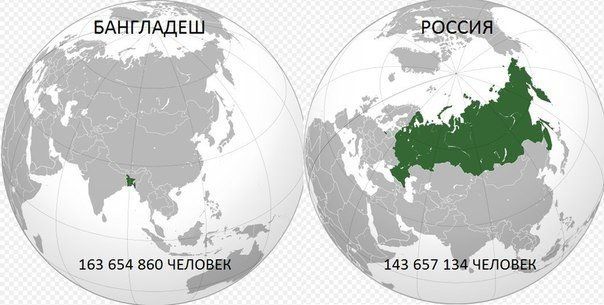 Прикольные картинки (88 фото)