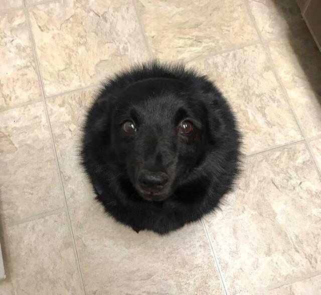 Удивительные вещи Удивительные вещи