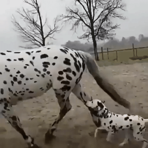 Удивительные вещи Удивительные вещи