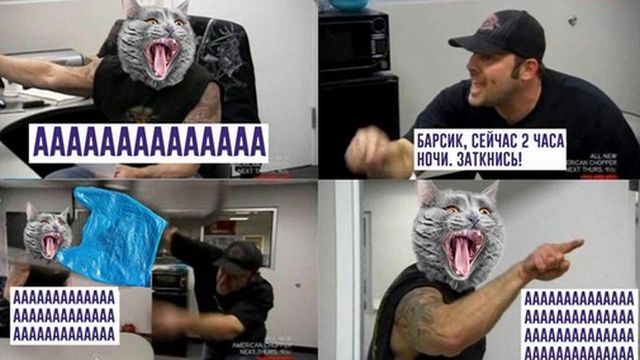 Прикольные картинки