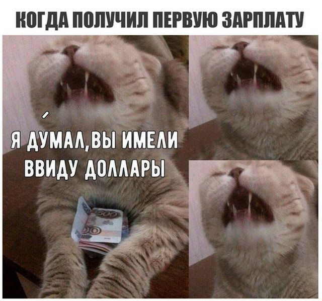 Прикольные картинки
