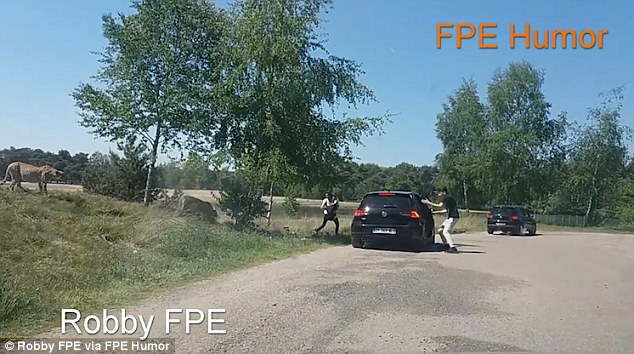 Гепарды чуть не съели французских туристов, которые вышли из машины на сафари Гепарды чуть не съели французских туристов, которые вышли из машины на сафари