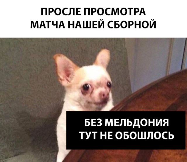 Реакция сети на матч Россия - Саудовская Аравия
