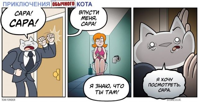 Сексистские шутки