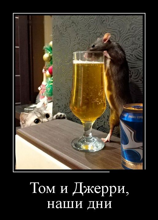 Демотиваторы