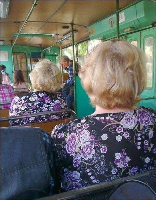 Прикольные картинки