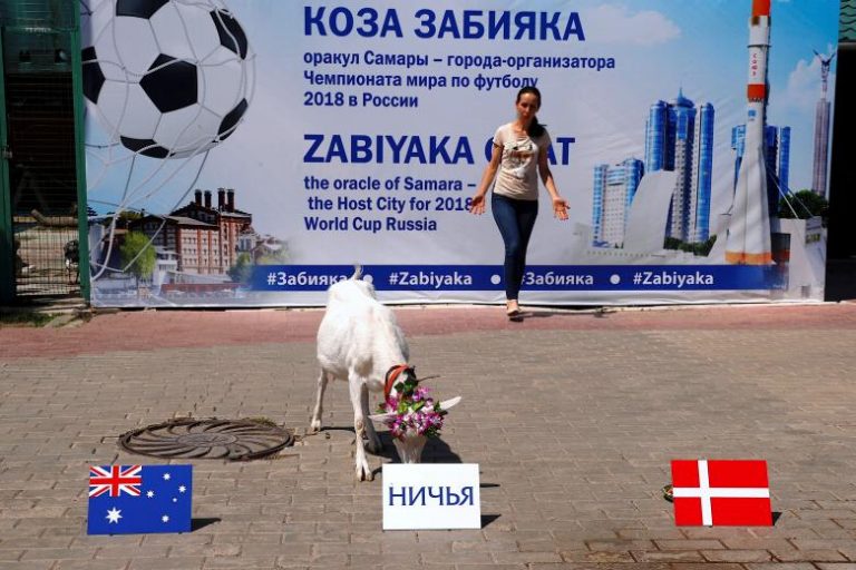 Животные-предсказатели на ЧМ-2018 Животные-предсказатели на ЧМ-2018
