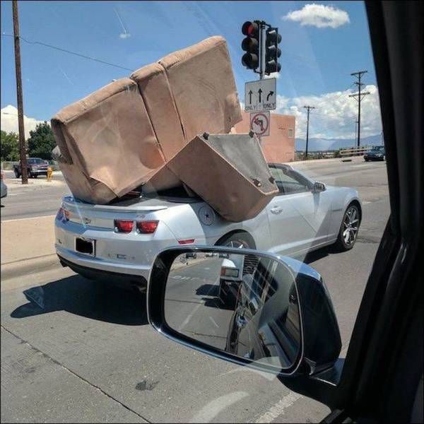 Прикольные картинки