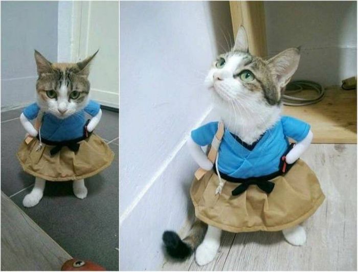 Прикольные картинки