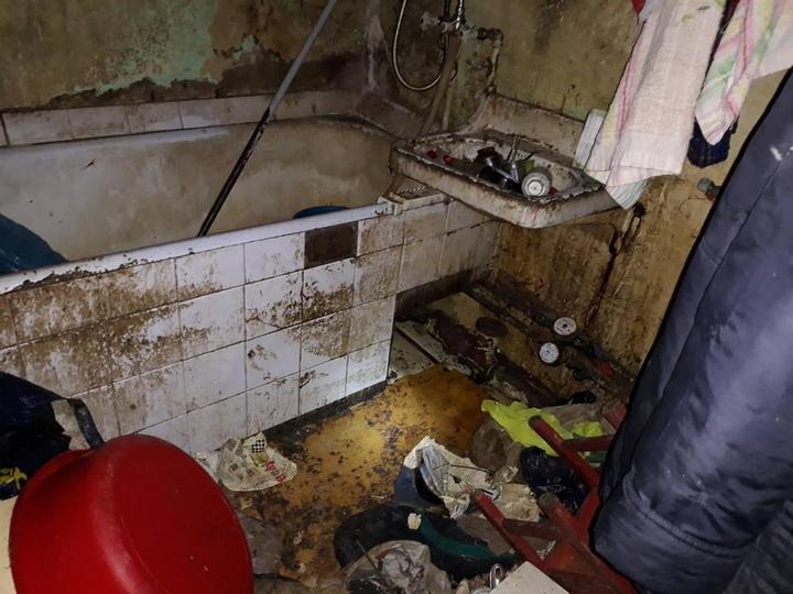 В Риге пенсионерка в квартире держала более 20 кошек В Риге пенсионерка в квартире держала более 20 кошек