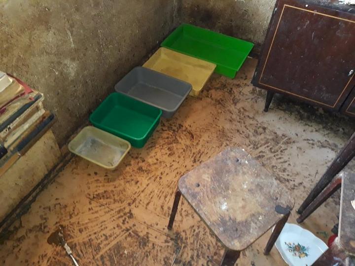 В Риге пенсионерка в квартире держала более 20 кошек В Риге пенсионерка в квартире держала более 20 кошек