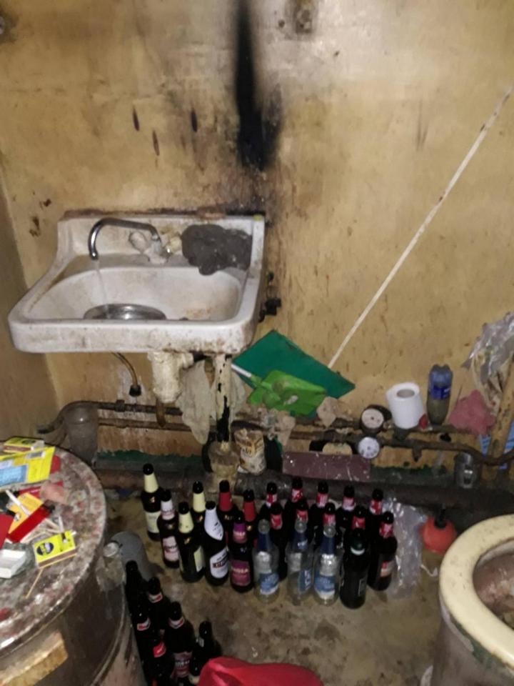 В Риге пенсионерка в квартире держала более 20 кошек В Риге пенсионерка в квартире держала более 20 кошек